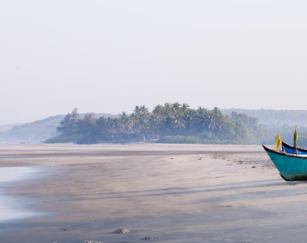 Palm Grove Beach Resort 7