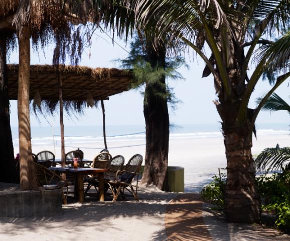 Palm Grove Beach Resort 8