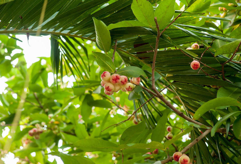 Resort Baantip Suantong 19