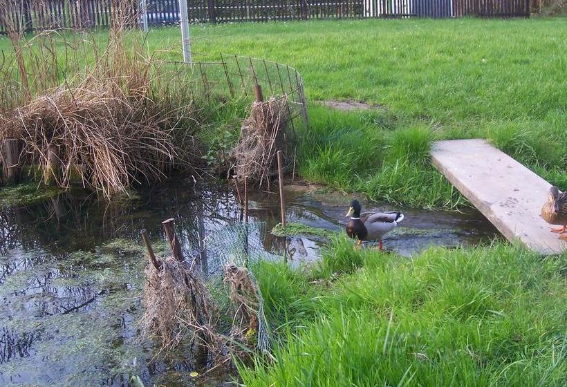 Hôtel Jugendherberge Lohr 8