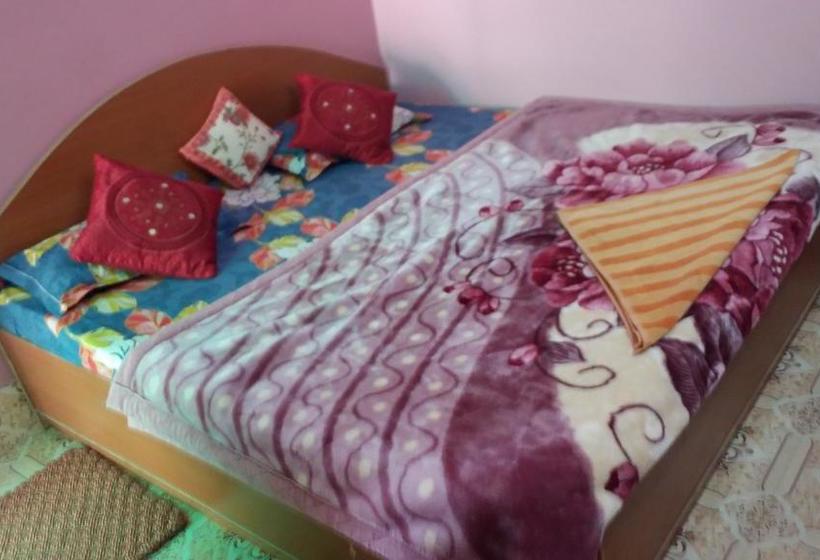 Bed and Breakfast Tanisha Heritage Haweli 11