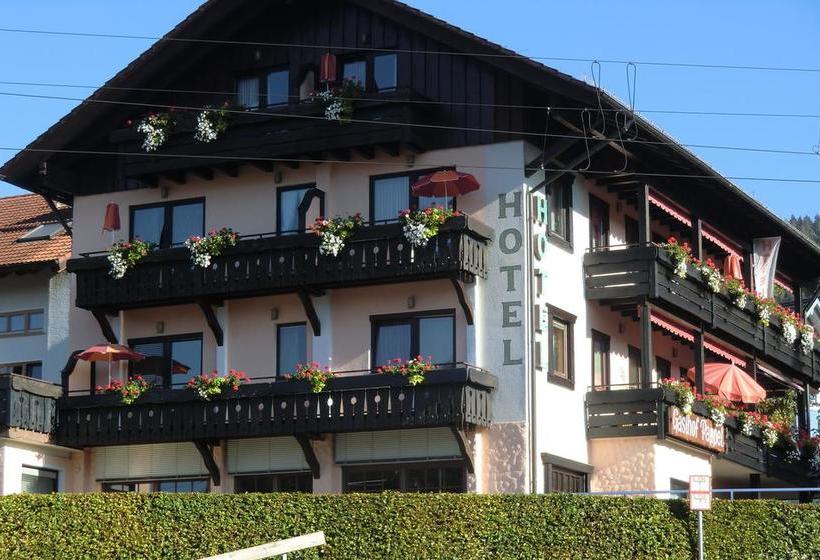 Hotel Restaurant Pappel 20