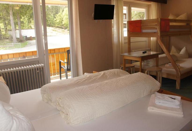 Hotel Restaurant Feldbergpass 10