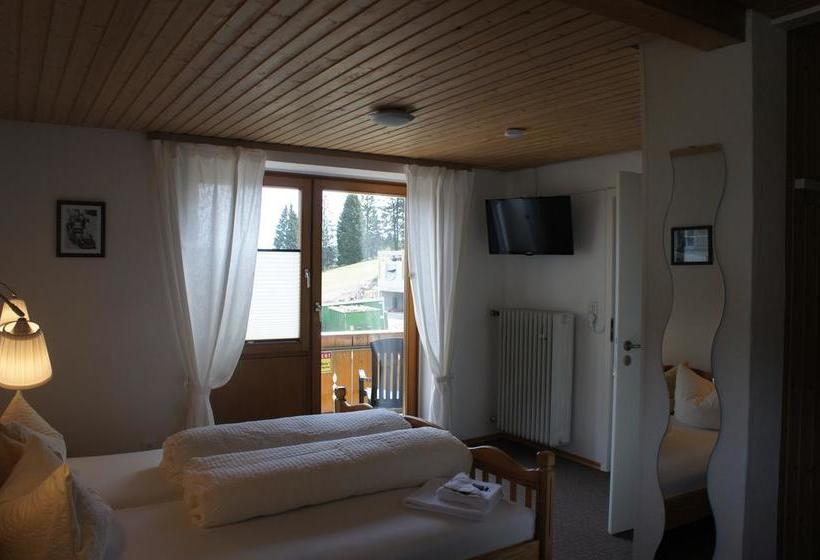 Hotel Restaurant Feldbergpass 13