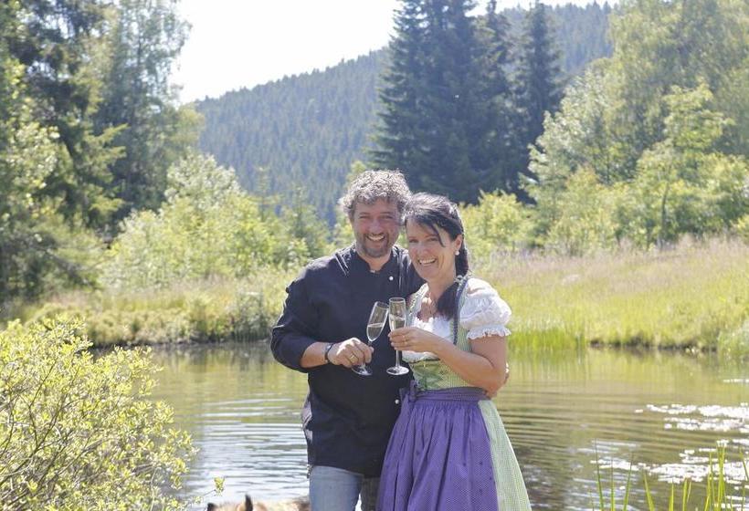 Hotel Höhengasthof Grüner Baum 10