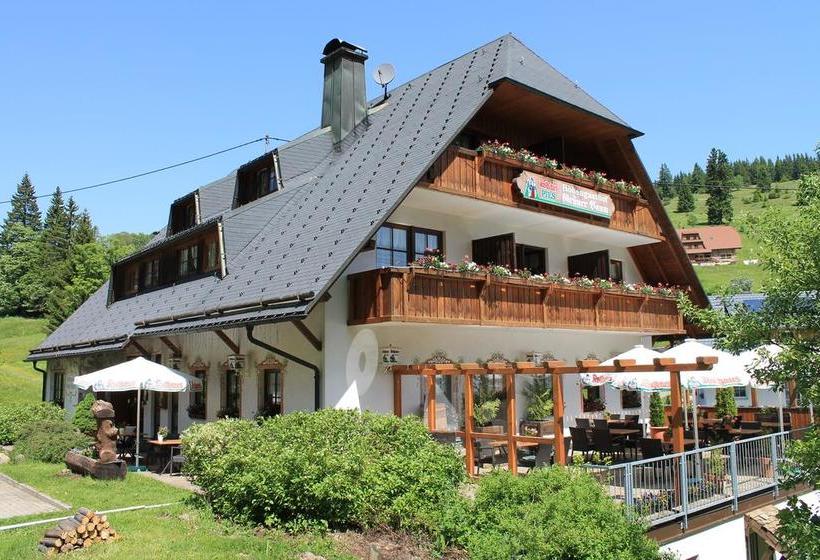 Hotel Höhengasthof Grüner Baum 2