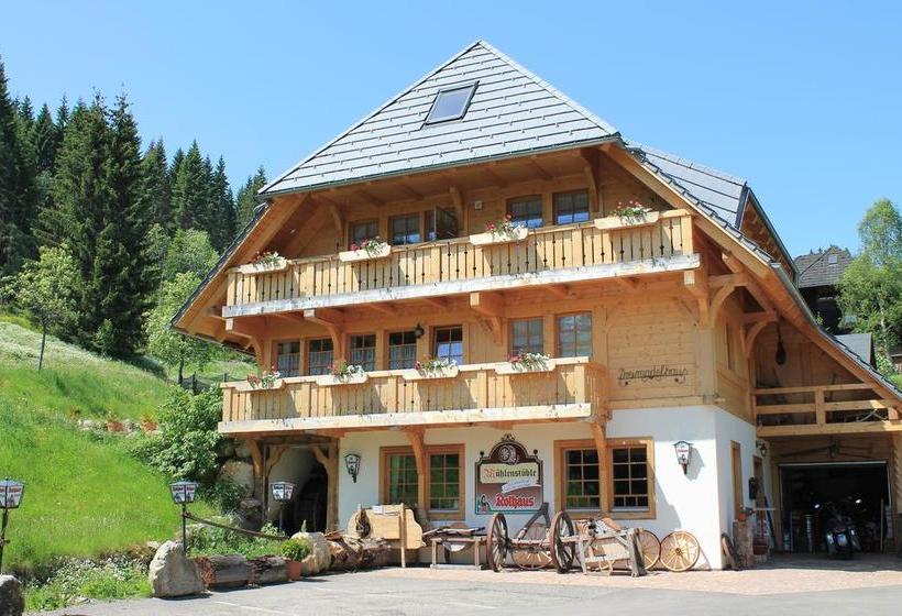 Hotel Höhengasthof Grüner Baum 3