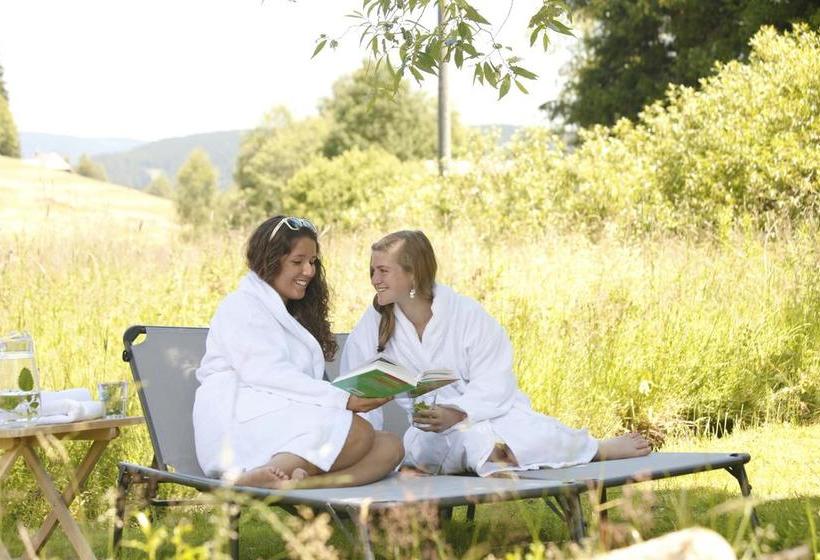 Hotel Höhengasthof Grüner Baum 7