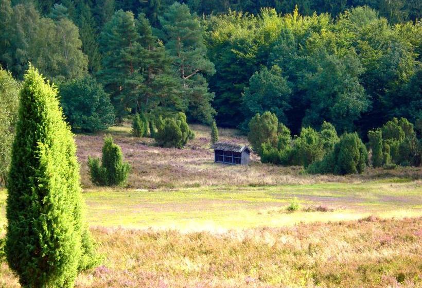 Hotel Landgasthaus Zum Naturschutzpark 14