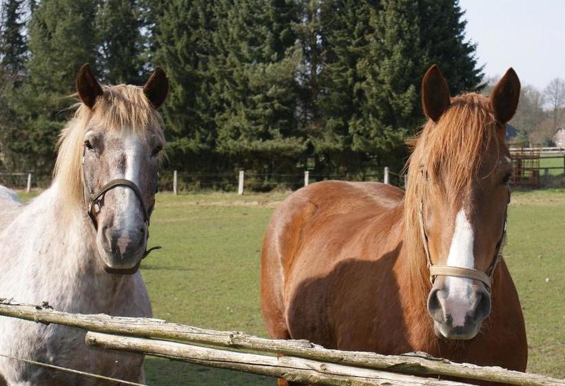 Hotel Landgasthaus Zum Naturschutzpark 16