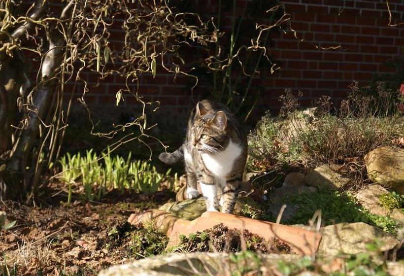 Hotel Landgasthaus Zum Naturschutzpark 17