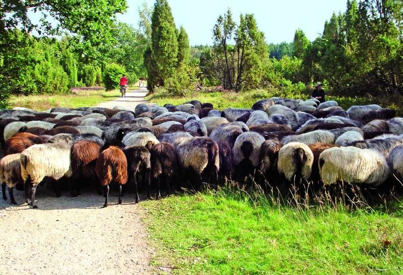 Hotel Landgasthaus Zum Naturschutzpark 18