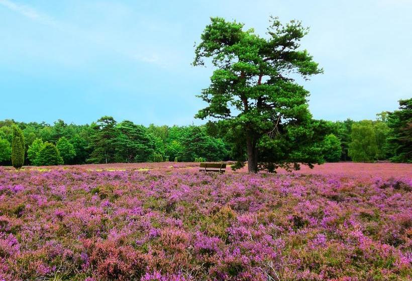 Hotel Landgasthaus Zum Naturschutzpark 19