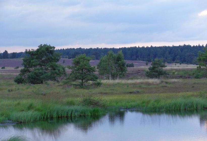Hotel Landgasthaus Zum Naturschutzpark 20