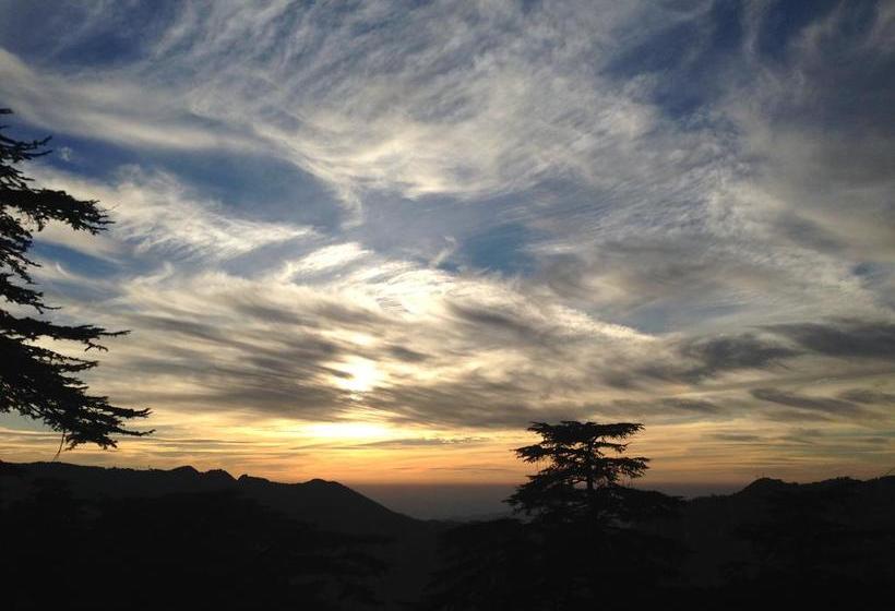 Mountain Goat Bed & Breakfast 16