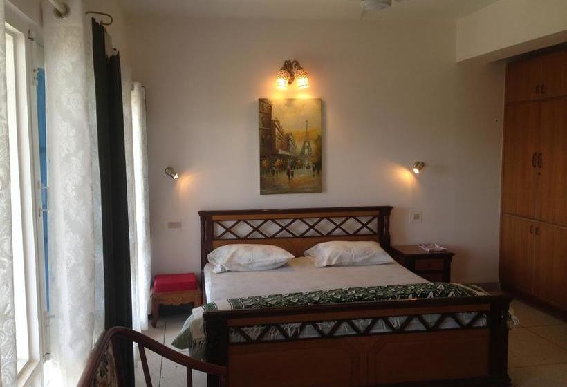 Mountain Goat Bed & Breakfast 5