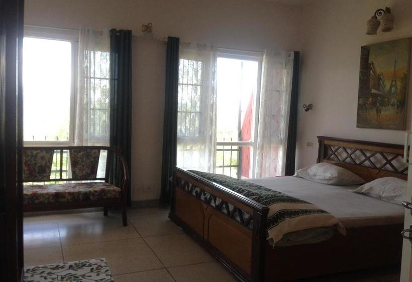 Mountain Goat Bed & Breakfast 6