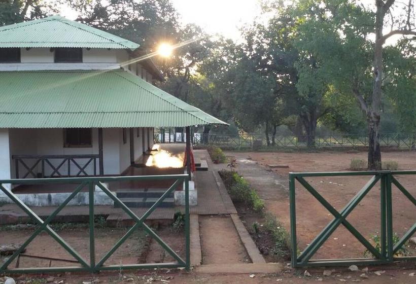 Woodland Adventure Resort 10