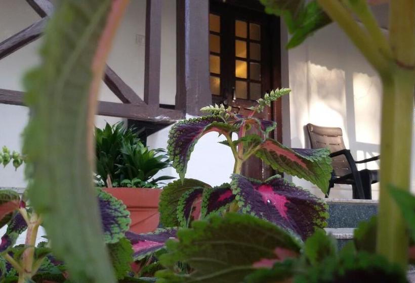 Woodland Adventure Resort 11