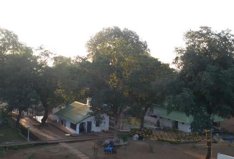 Woodland Adventure Resort 12