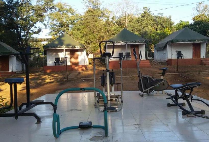 Woodland Adventure Resort 13