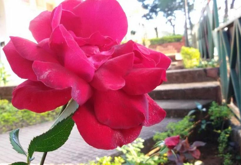 Woodland Adventure Resort 14