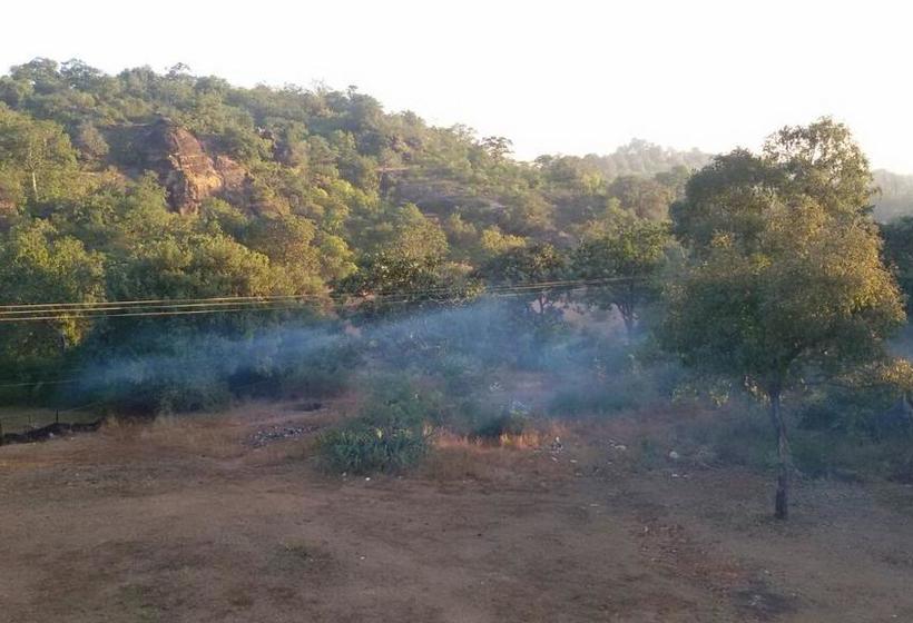 Woodland Adventure Resort 16