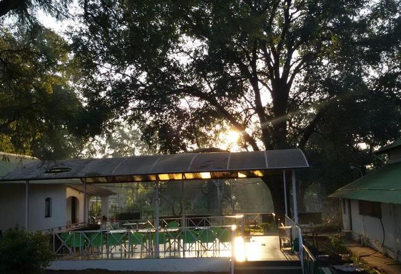 Woodland Adventure Resort 6