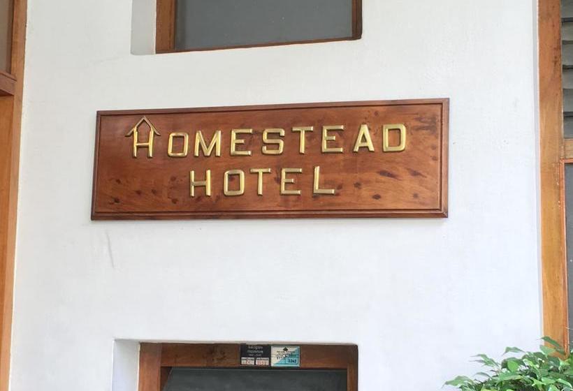 Hotel Homestead 1