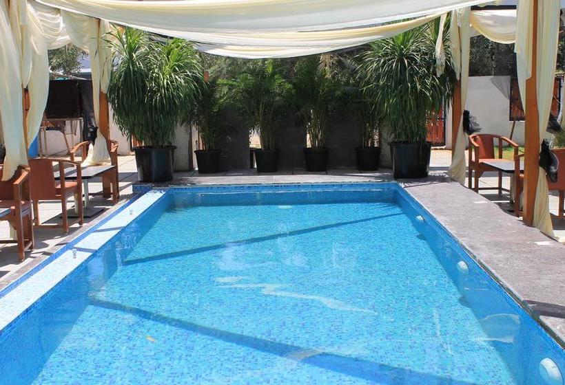 Hotel Nirvana Boutique 5