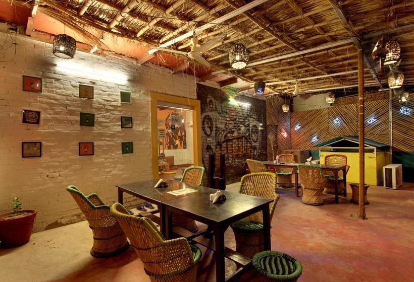 Bedweiser Backpackers Hostel 10