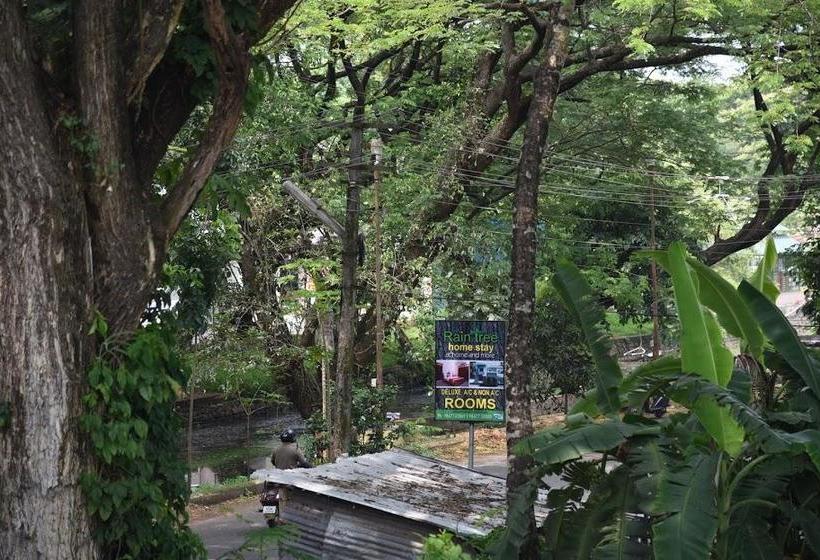 Bed and Breakfast Rain Tree 10