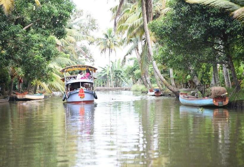 Bed and Breakfast Rain Tree 2