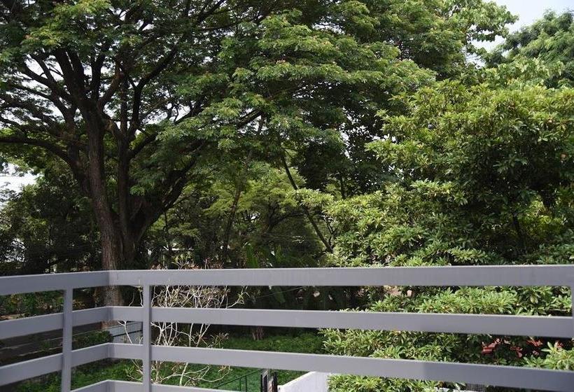 Bed and Breakfast Rain Tree 9