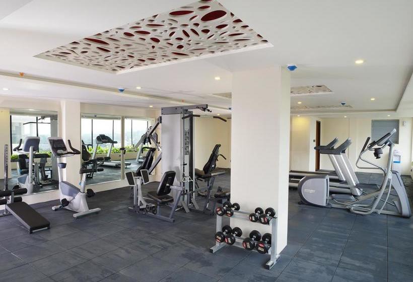 Hotel Apollo Dimora 3