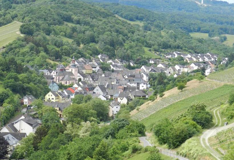 Hotel Weingut Pension Stassen 8