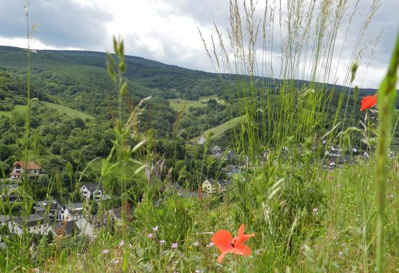 Hotel Weingut Pension Stassen 9