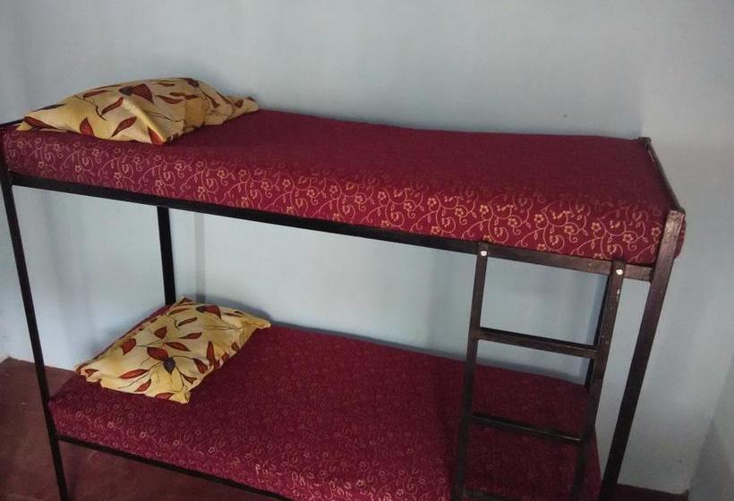 Labackwoods Hostel 2