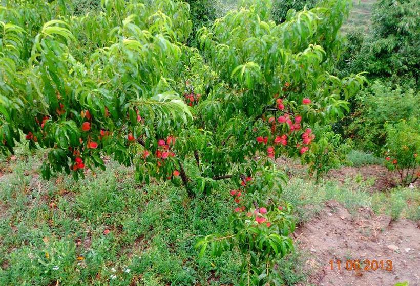 Hotel Whispering Heights 12