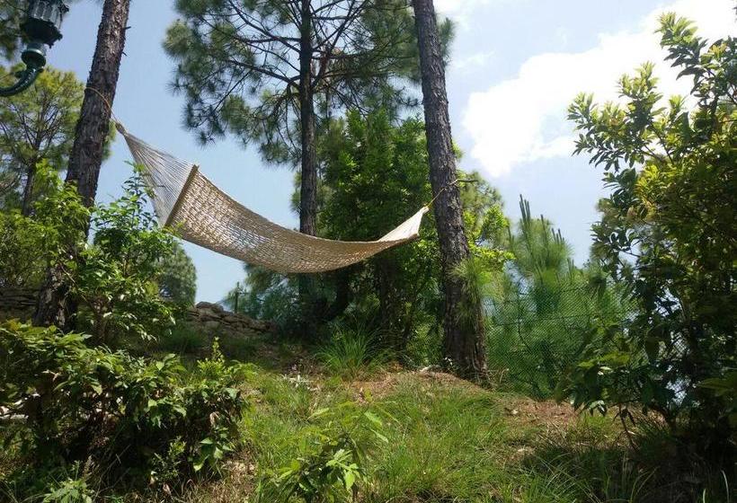 Hotel Whispering Heights 8