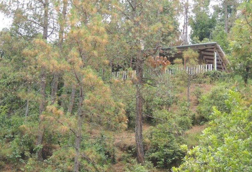 Hotel Whispering Heights 9