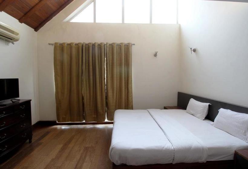 Bed and Breakfast Accovilla 20