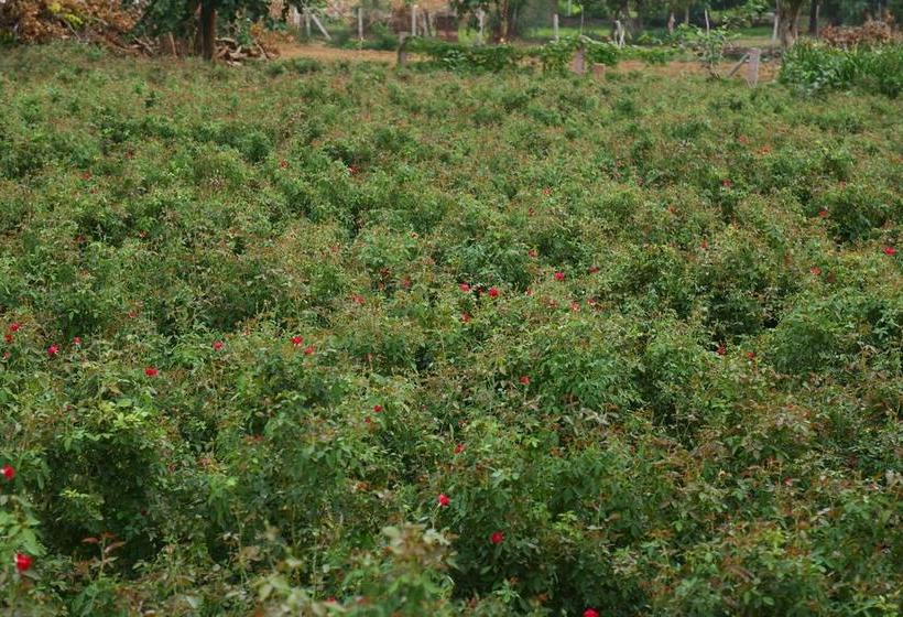 Hotel Winter Mountain Resort 11