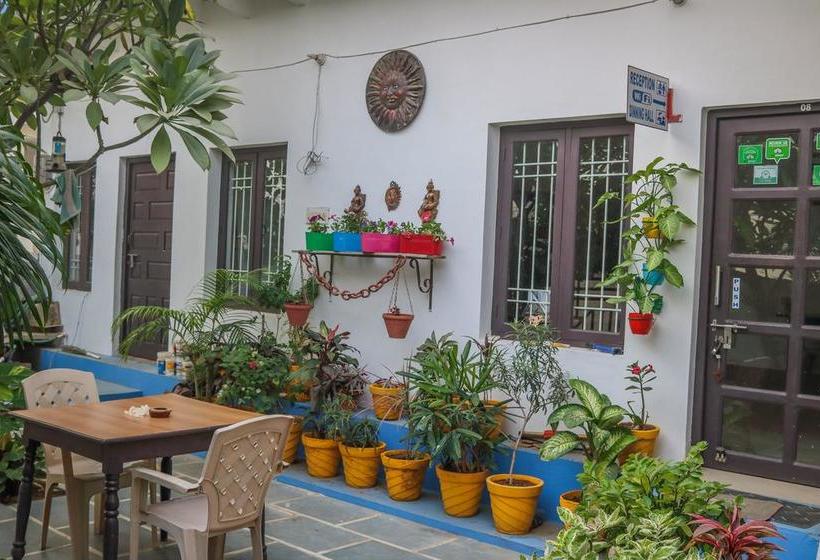 Bed and Breakfast Iora Guest House Bharatpur