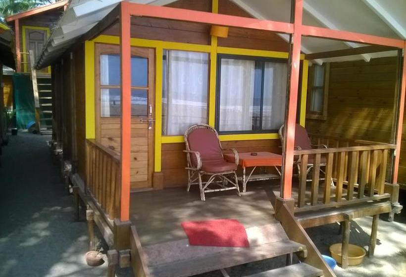 Resort Agonda Beach Bumps 10