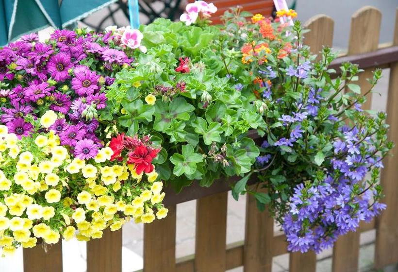 Hotel Haus Mühlbach 11