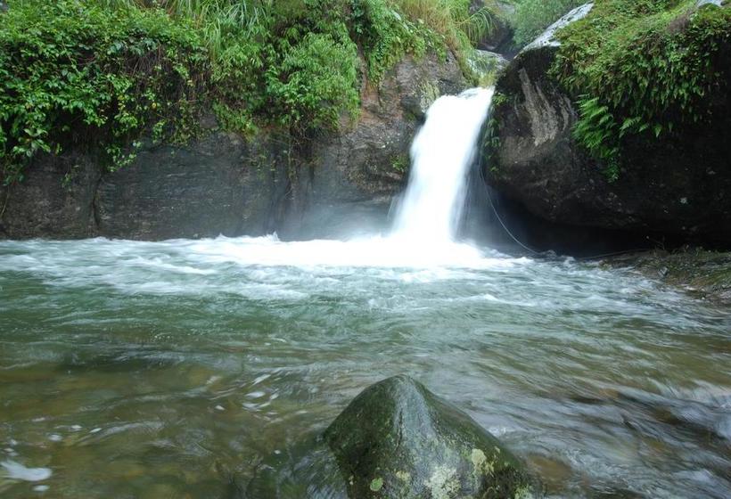 Blue Ginger Spa Resorts
