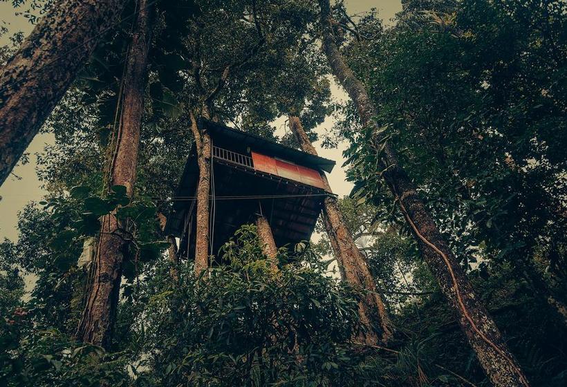 Resort Ela Ecoland Nature Retreat