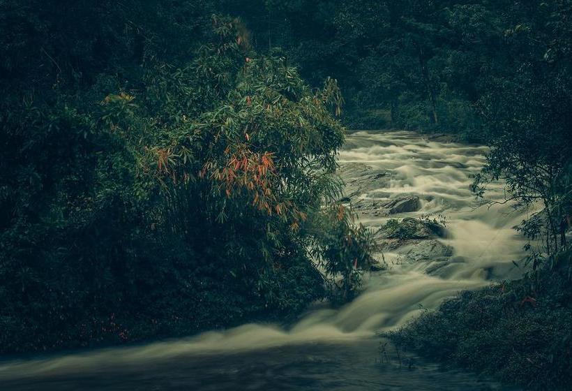 Resort Ela Ecoland Nature Retreat 6