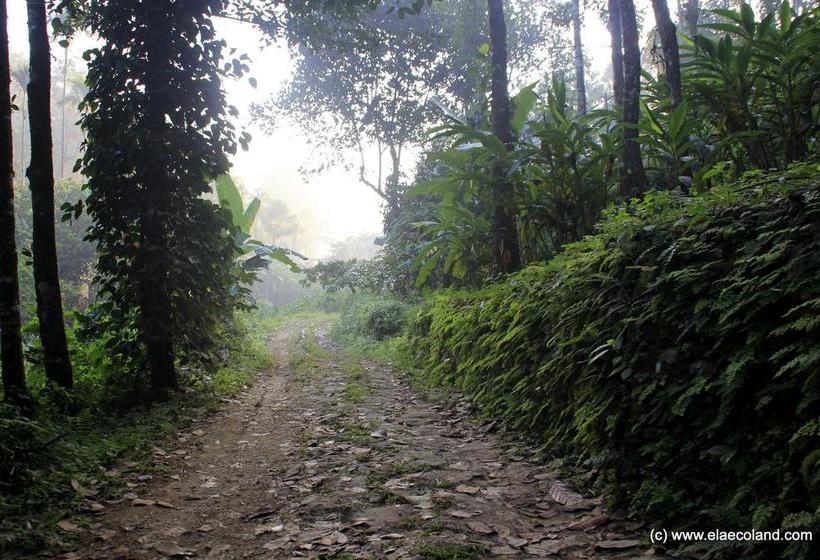 Resort Ela Ecoland Nature Retreat 9